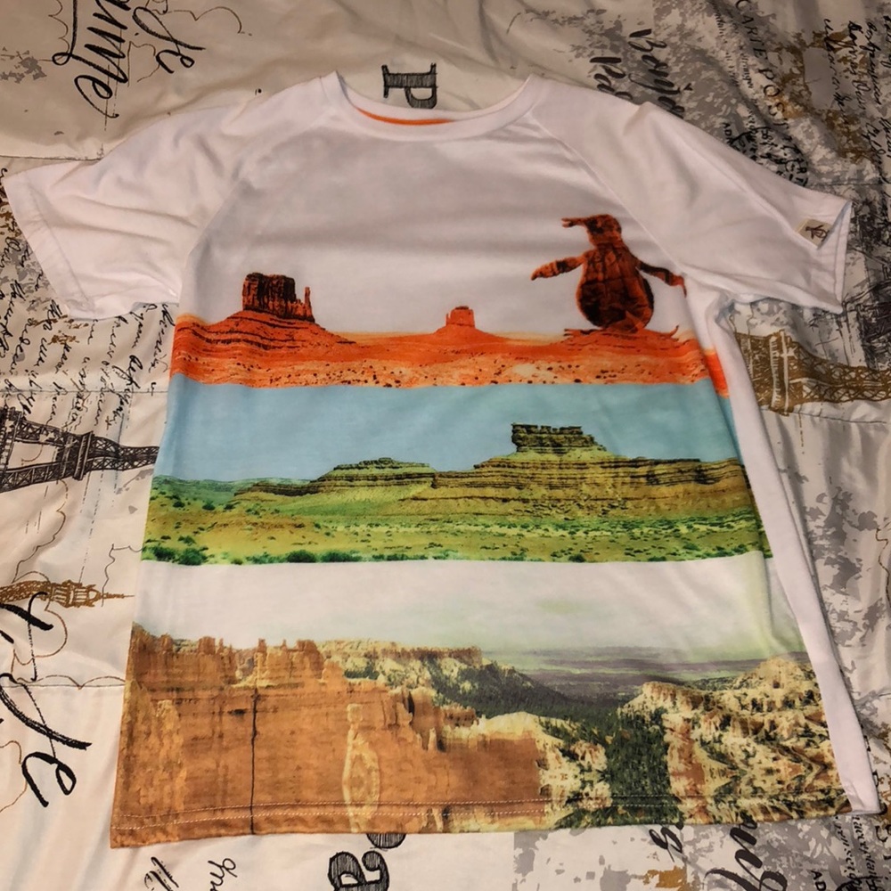 EUC BOY’S Short sleeved top (L 14)